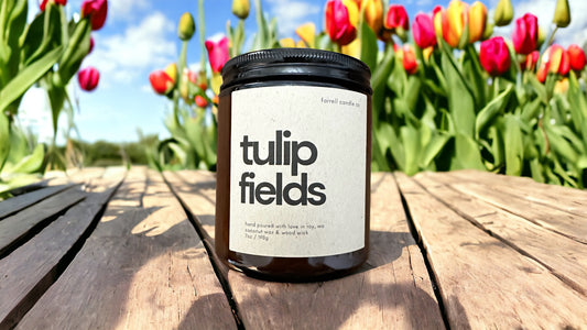 TULIP FIELDS